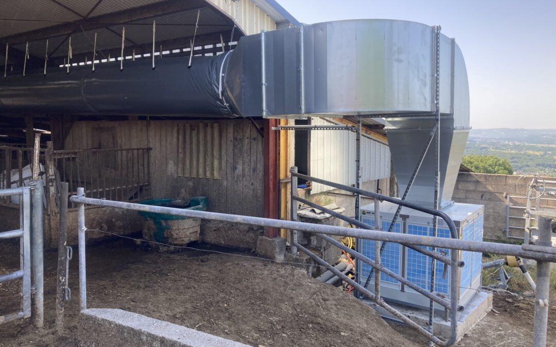 Climatisation des élevages bovins avec des climatiseurs évaporatifs │ MET MANN